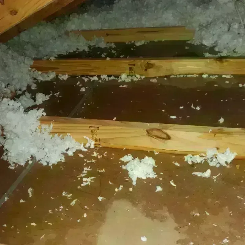 Attic Water Damage in Greatwood, TX