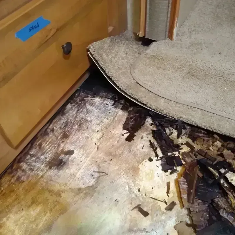 Best Wood Floor Water Damage Service in Greatwood, TX